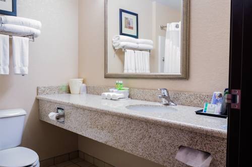 Imagen de la habitación del Hotel Holiday Inn Express & Suites Acme-traverse City. Foto 8