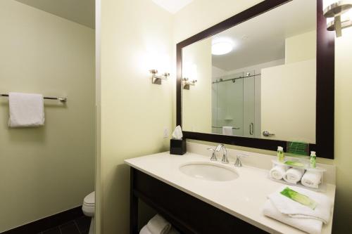Imagen de la habitación del Hotel Holiday Inn Express & Suites Aiken, an IHG. Foto 6