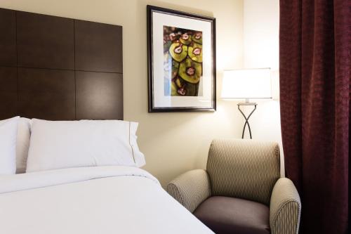 Imagen de la habitación del Hotel Holiday Inn Express & Suites Aiken, an IHG. Foto 10
