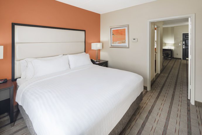 Imagen de la habitación del Hotel Holiday Inn Express & Suites Atlanta NE - Duluth. Foto 12