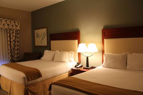 Imagen de la habitación del Hotel Holiday Inn Express & Suites Baton Rouge East. Foto 4