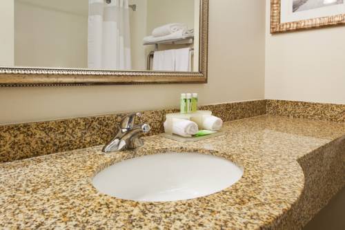 Imagen de la habitación del Hotel Holiday Inn Express & Suites Baton Rouge East. Foto 5