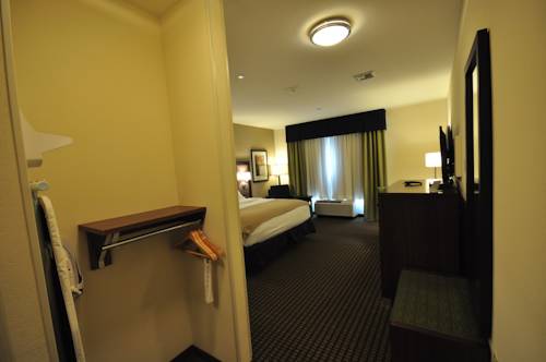 Imagen de la habitación del Hotel Holiday Inn Express & Suites Belgrade. Foto 9