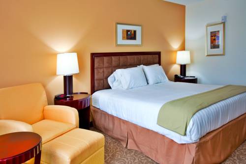 Imagen de la habitación del Hotel Holiday Inn Express & Suites Brooksville-I-75. Foto 5