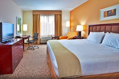 Imagen de la habitación del Hotel Holiday Inn Express & Suites Brooksville-I-75. Foto 7
