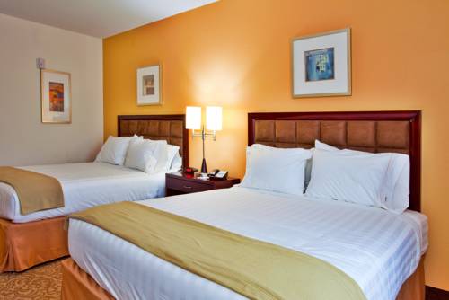 Imagen de la habitación del Hotel Holiday Inn Express & Suites Brooksville-I-75. Foto 8