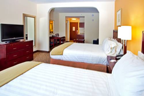 Imagen de la habitación del Hotel Holiday Inn Express & Suites Brooksville-I-75. Foto 9