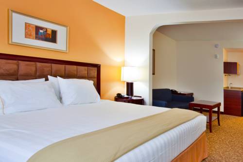 Imagen general del Hotel Holiday Inn Express & Suites Brooksville-I-75. Foto 1