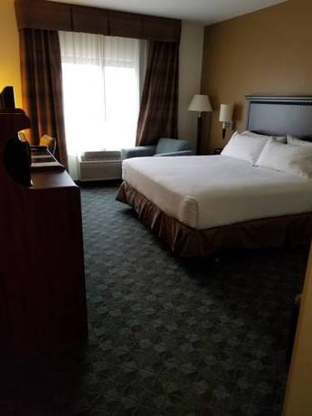 Imagen de la habitación del Hotel Holiday Inn Express & Suites Canton. Foto 14