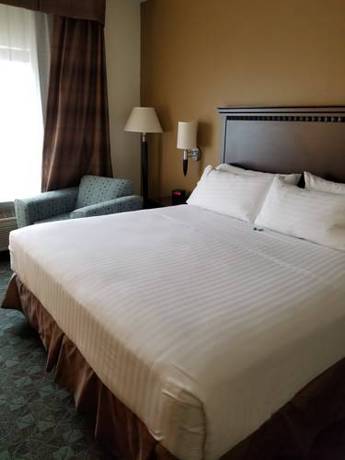 Imagen de la habitación del Hotel Holiday Inn Express & Suites Canton. Foto 16