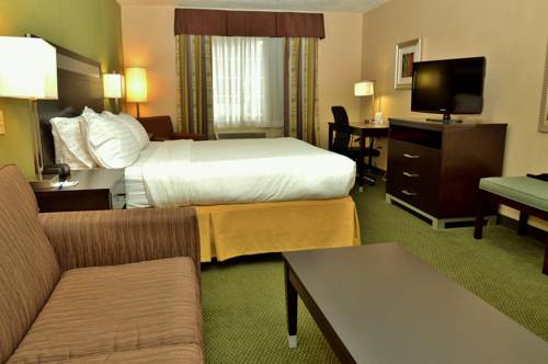 Imagen de la habitación del Hotel Holiday Inn Express & Suites Center Township. Foto 5