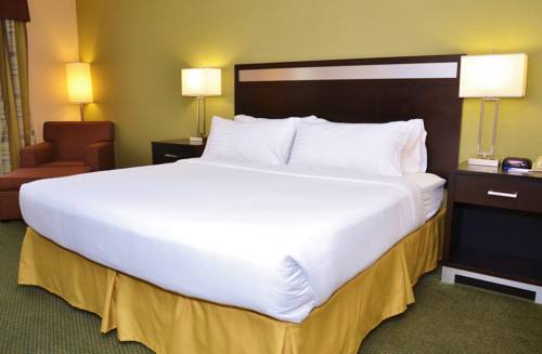 Imagen de la habitación del Hotel Holiday Inn Express & Suites Center Township. Foto 7