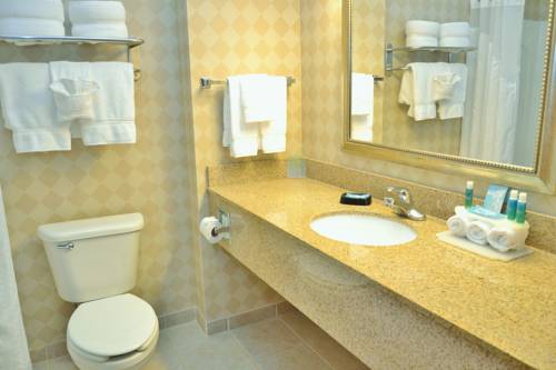 Imagen de la habitación del Hotel Holiday Inn Express & Suites Center Township. Foto 9