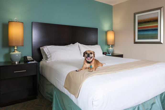 Imagen de la habitación del Hotel Holiday Inn Express & Suites Charleston Dwtn - WestEdge. Foto 4