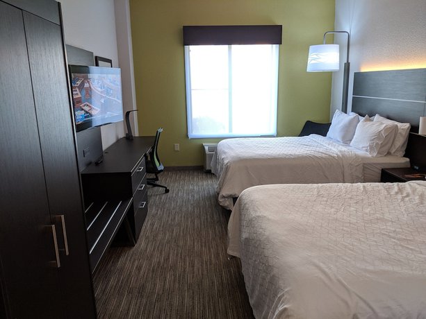 Imagen de la habitación del Hotel Holiday Inn Express & Suites Charlotte-Concord-I-85. Foto 13