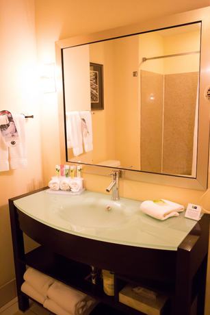 Imagen de la habitación del Hotel Holiday Inn Express & Suites Chattanooga Hixon. Foto 8