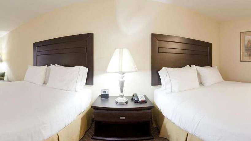 Imagen de la habitación del Hotel Holiday Inn Express & Suites Chicago South L. Foto 14