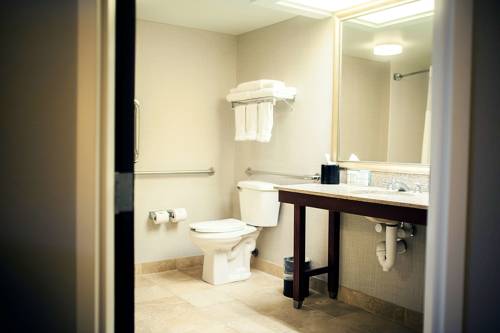 Imagen de la habitación del Hotel Holiday Inn Express & Suites Cincinnati Riverfront, an IHG Hotel. Foto 6