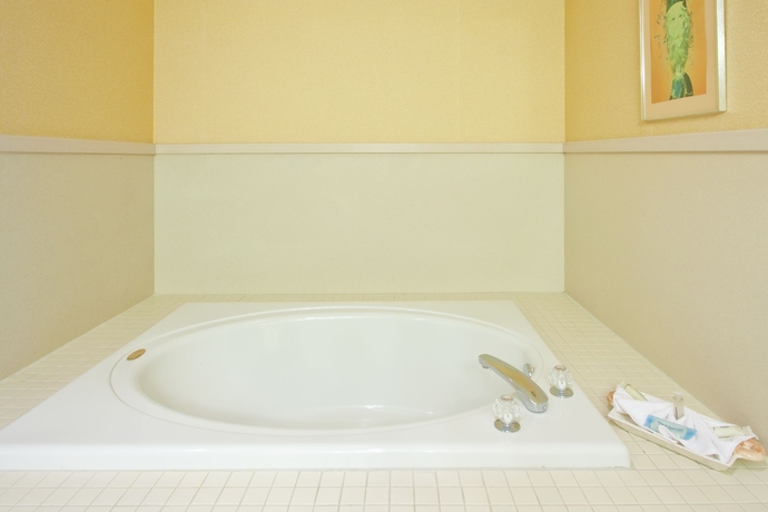 Imagen de la habitación del Hotel Holiday Inn Express & Suites Clearwater/Us 19 N. Foto 8