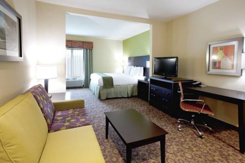 Imagen de la habitación del Hotel Holiday Inn Express & Suites Clemson - Univ Area. Foto 4