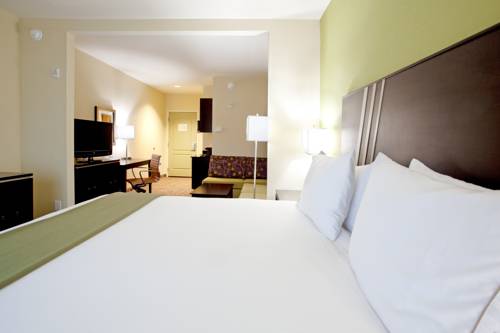 Imagen de la habitación del Hotel Holiday Inn Express & Suites Clemson - Univ Area. Foto 8