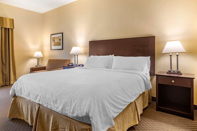 Imagen de la habitación del Hotel Holiday Inn Express & Suites Dahlonega - University Area. Foto 4