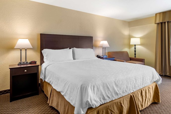 Imagen de la habitación del Hotel Holiday Inn Express & Suites Dahlonega - University Area. Foto 11