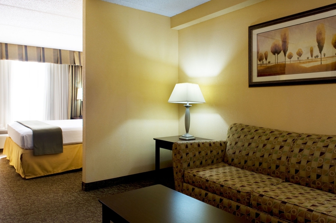 Imagen de la habitación del Hotel Holiday Inn Express & Suites Dallas Ft. Worth Airport South. Foto 3