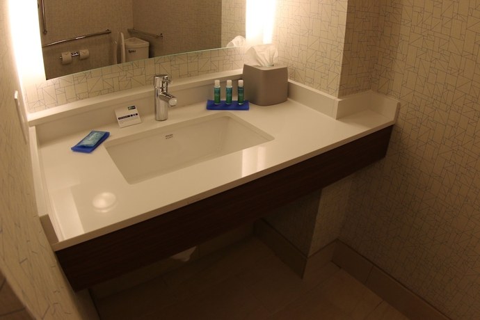 Imagen de la habitación del Hotel Holiday Inn Express & Suites Detroit Northwest - Livonia. Foto 13