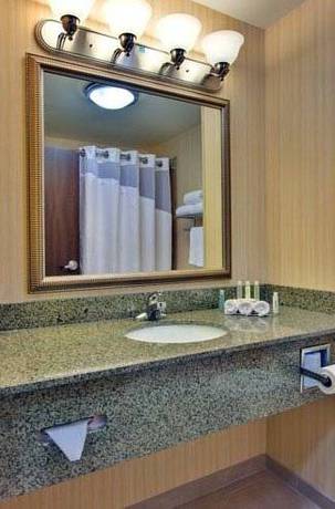 Imagen de la habitación del Hotel Holiday Inn Express & Suites Dewitt - Syracuse. Foto 4