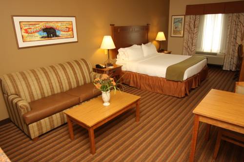 Imagen de la habitación del Hotel Holiday Inn Express & Suites Donegal. Foto 3