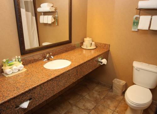 Imagen de la habitación del Hotel Holiday Inn Express & Suites Donegal. Foto 5