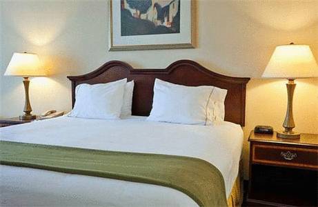 Imagen de la habitación del Hotel Holiday Inn Express & Suites Dothan North. Foto 4