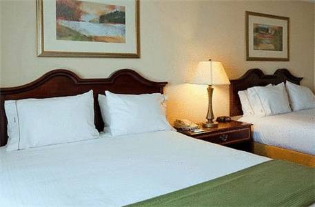 Imagen de la habitación del Hotel Holiday Inn Express & Suites Dothan North. Foto 5