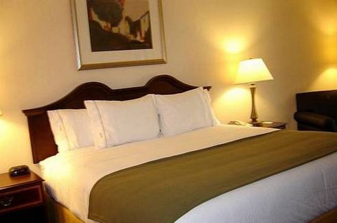 Imagen de la habitación del Hotel Holiday Inn Express & Suites Dothan North. Foto 14