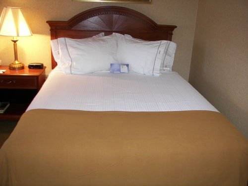 Imagen de la habitación del Hotel Holiday Inn Express & Suites Drums-Hazleton (I-80). Foto 6