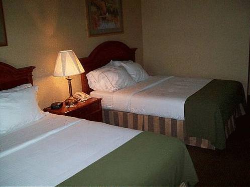 Imagen de la habitación del Hotel Holiday Inn Express & Suites Drums-Hazleton (I-80). Foto 14