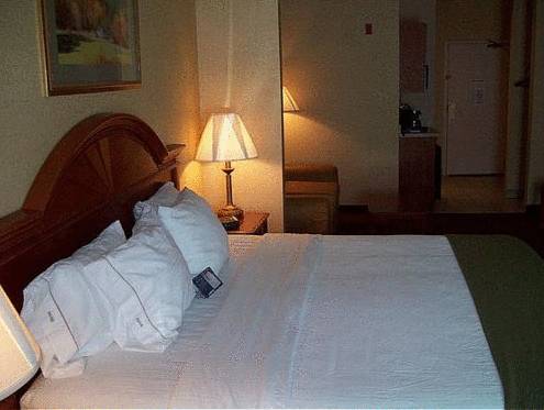 Imagen de la habitación del Hotel Holiday Inn Express & Suites Drums-Hazleton (I-80). Foto 15