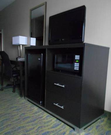 Imagen de la habitación del Hotel Holiday Inn Express & Suites Dubois. Foto 4