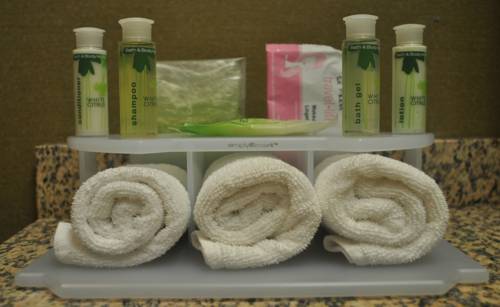 Imagen de la habitación del Hotel Holiday Inn Express & Suites Dubois. Foto 5