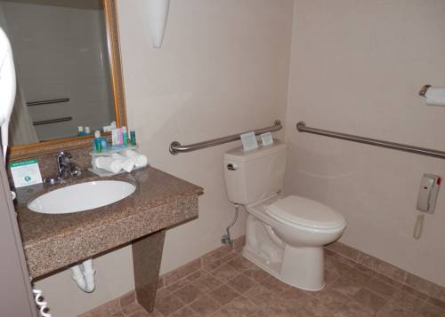 Imagen de la habitación del Hotel Holiday Inn Express & Suites Dubois. Foto 8