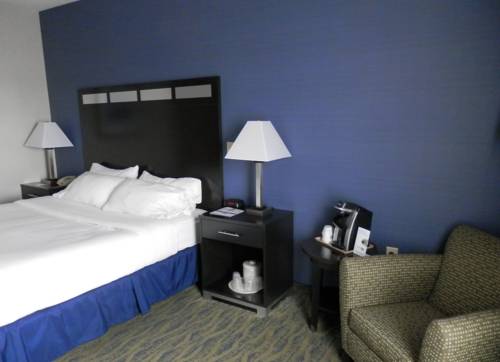 Imagen de la habitación del Hotel Holiday Inn Express & Suites Dubois. Foto 11