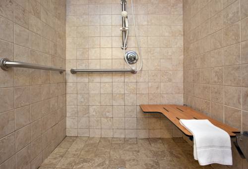 Imagen de la habitación del Hotel Holiday Inn Express & Suites Dubois. Foto 14