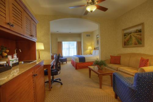 Imagen de la habitación del Hotel Holiday Inn Express & Suites El Dorado Hills. Foto 6