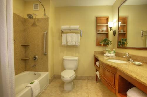 Imagen de la habitación del Hotel Holiday Inn Express & Suites El Dorado Hills. Foto 10