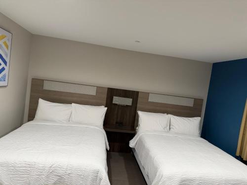 Imagen de la habitación del Hotel Holiday Inn Express & Suites. Foto 8