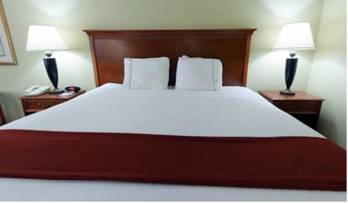Imagen de la habitación del Hotel Holiday Inn Express & Suites Fort Wayne. Foto 4