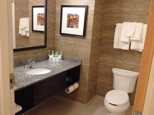Imagen de la habitación del Hotel Holiday Inn Express & Suites Geneva Finger Lakes. Foto 9