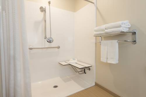 Imagen de la habitación del Hotel Holiday Inn Express & Suites Grand Rapids-North. Foto 4
