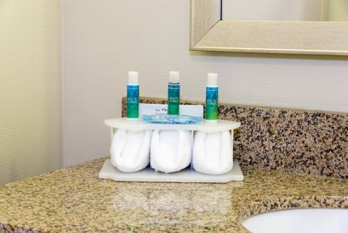 Imagen de la habitación del Hotel Holiday Inn Express & Suites Grand Rapids-North. Foto 7